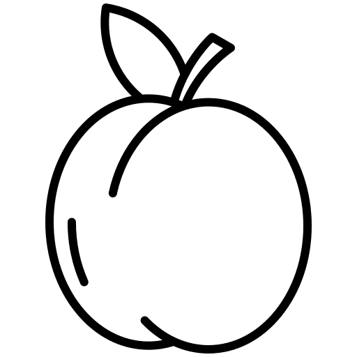 Apricot apricot fruit healthy food icon