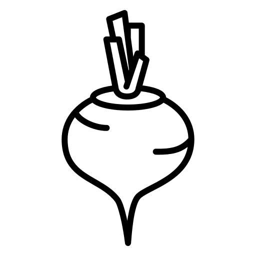 Beetroot healthy food beetroot supermarket icon