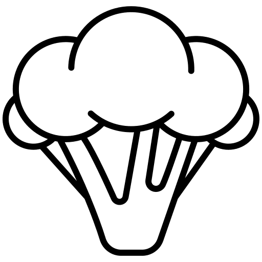 Cauliflower vegetarian cauliflower vegetable icon