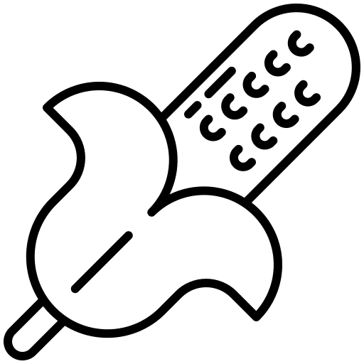 Corn diet vegetarian healthy food icon