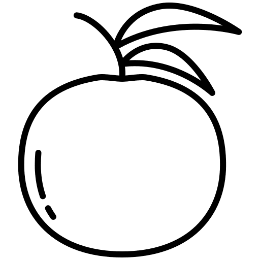 Orange orange fruit organic icon