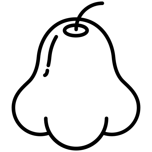 Rose apple fruit food and restaurant rose apple icon