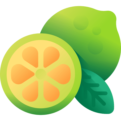 Lime vegan fruit organic icon