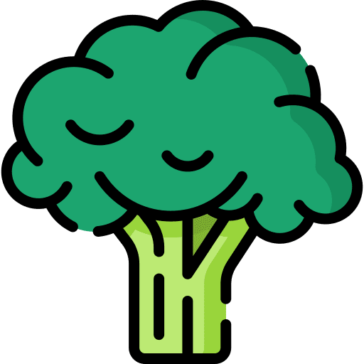 Broccoli vegetable ingredient diet icon