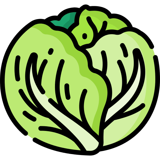 Cabbage vegan fruit food icon