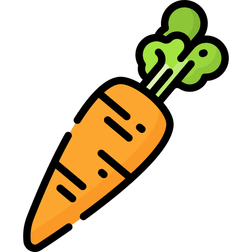 Carrot carrot vegan organic icon