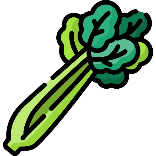 Celery healthy vegan celery icon