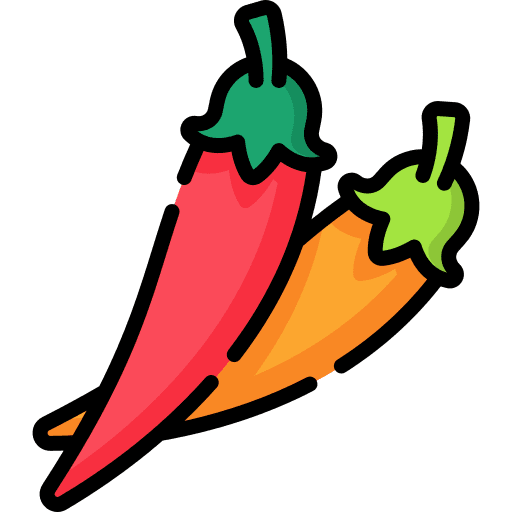 Chili hot spicy organic icon
