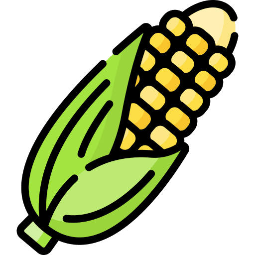 Corn cereal farming diet icon
