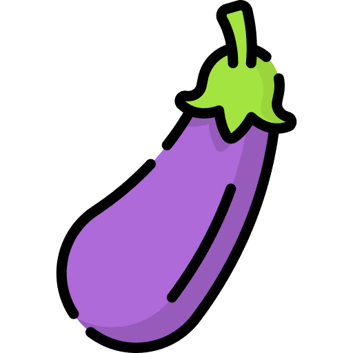 Eggplant vegetable vegetarian eggplant icon