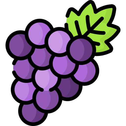 Grape bouquet vegan fruit icon