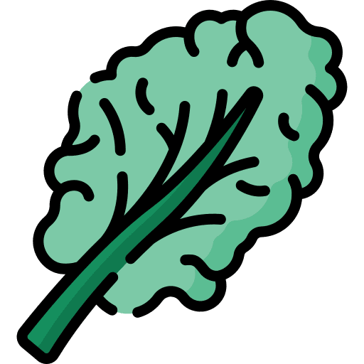 Kale kale salad food and restaurant icon