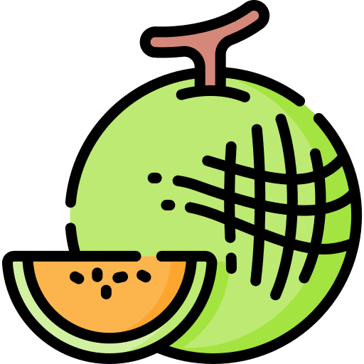 Melon melon healthy food food icon