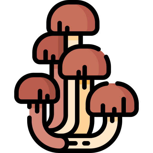 Mushrooms vegetable food and restaurant vegetarian icon