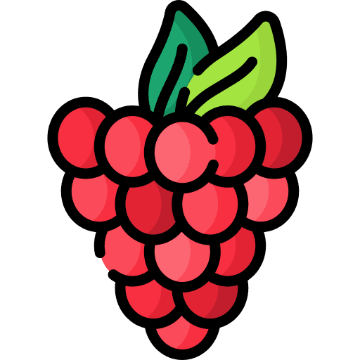 Raspberry food healthy food vegetable icon