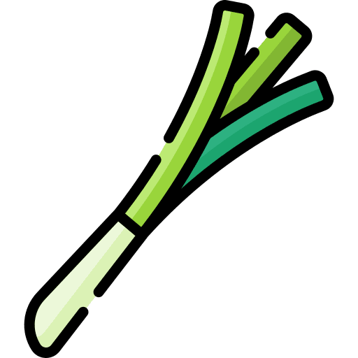 Spring onion diet vegan scallion icon