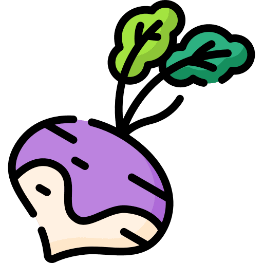 Turnip vegan vegetable diet icon