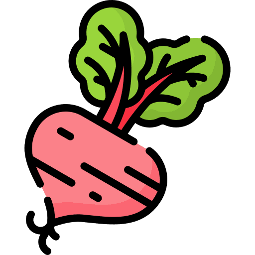 Beetroot healthy food food vegetarian icon