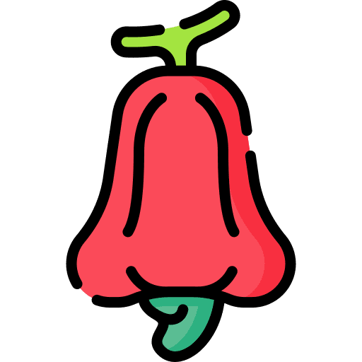 Cashew healthy food vegan food icon