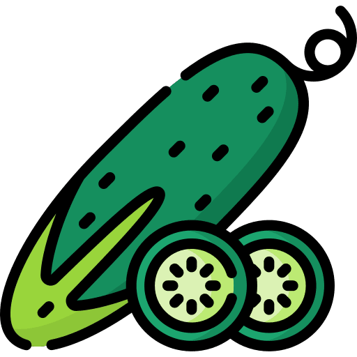 Cucumber food diet nutrition icon