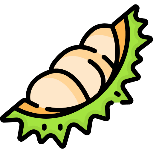 Durian food and restaurant durian vegetarian icon