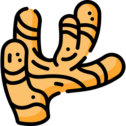 Ginger food and restaurant ginger healthy food icon