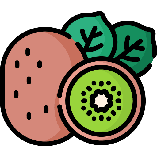 Kiwi organic healthy food kiwi icon
