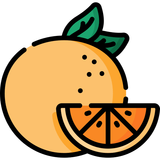 Orange food and restaurant organic diet icon