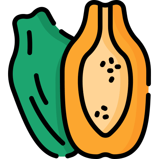 Papaya vegetarian papaya food icon