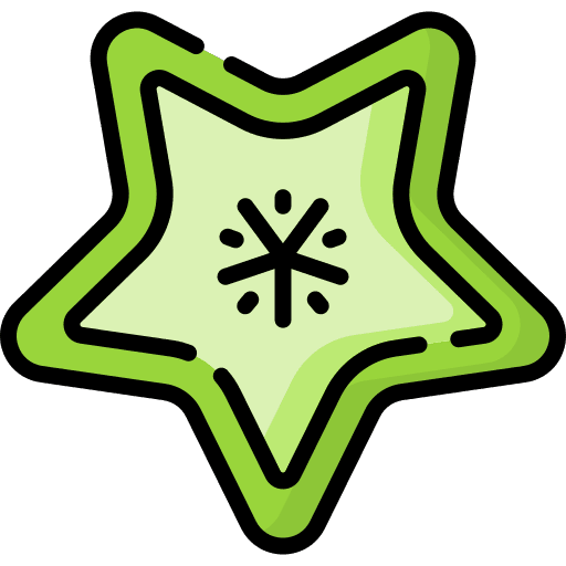 Starfruit vitamin food and restaurant organic icon