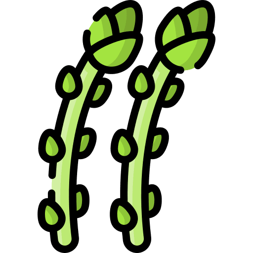 Asparagus diet healthy food icon