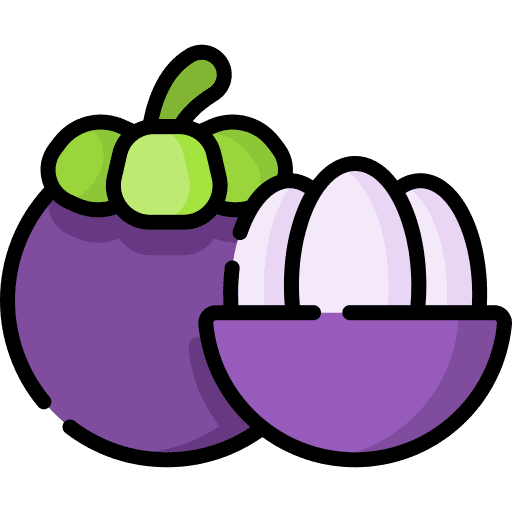 Mangosteen food food and restaurant vegetarian icon