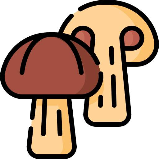 Mushrooms mushrooms diet organic icon