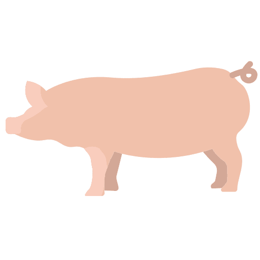 Pig livestock animals nature icon