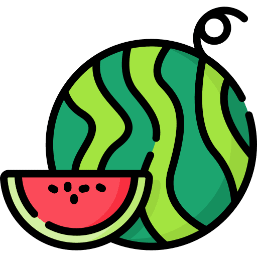 Watermelon watermelon vegan vegetarian icon
