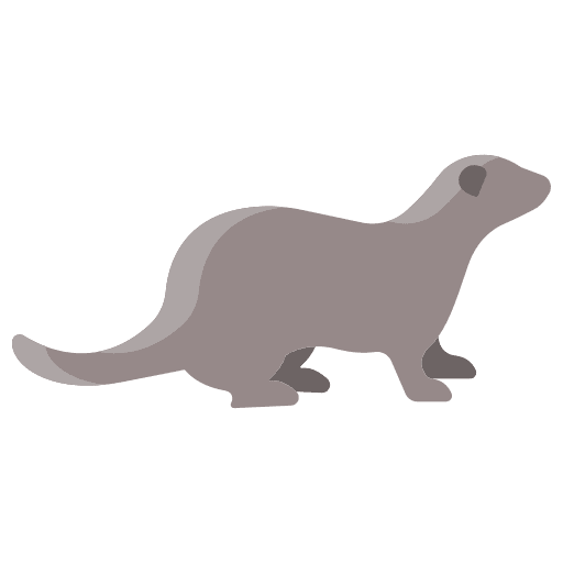 Ferret mammal animal kingdom nature icon
