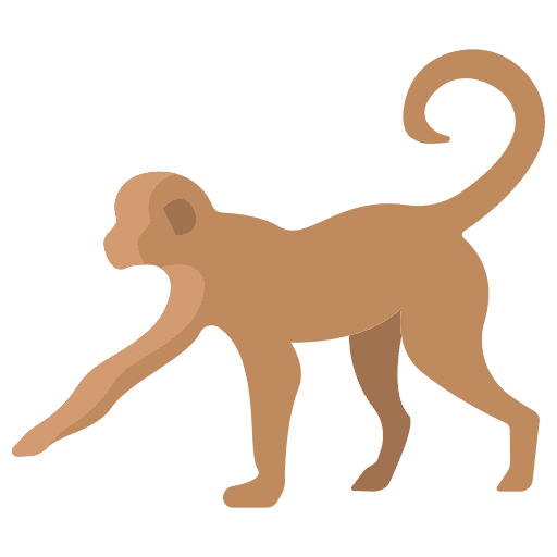 Monkey animal kingdom mammal monkey icon