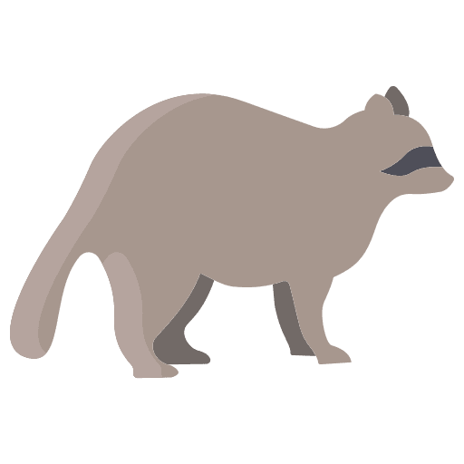 Raccoon mammal raccoon wildlife icon
