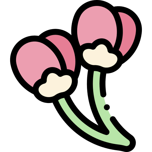 Sakura flower buds sakura icon