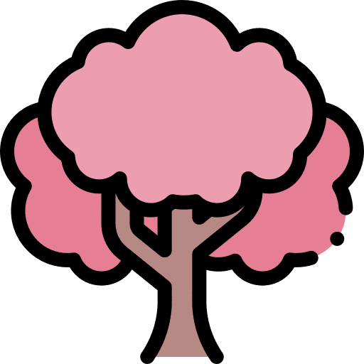 Sakura nature tree japanese icon