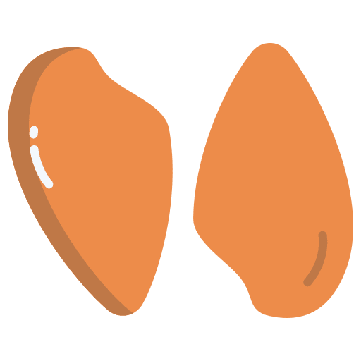 Chicken breast grill roast healthy food icon