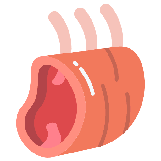 Meat raw meat bone icon