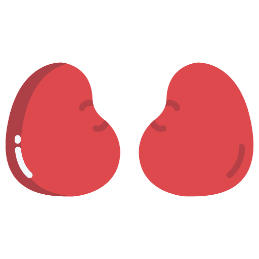 Meat food and restaurant meat food icon