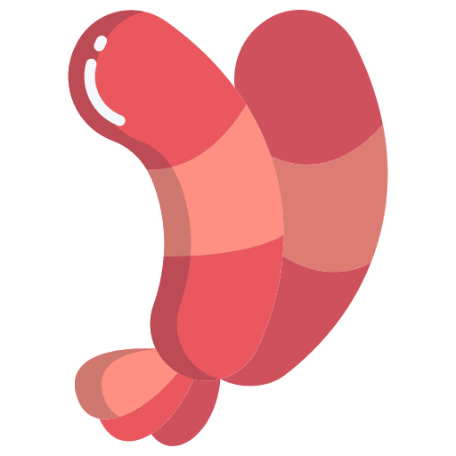 Shrimp shellfish crustacean shrimp icon