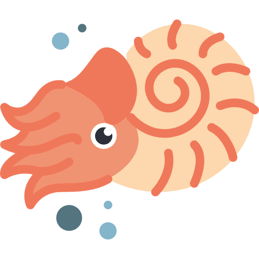 Nautilus nautilus shell sea icon