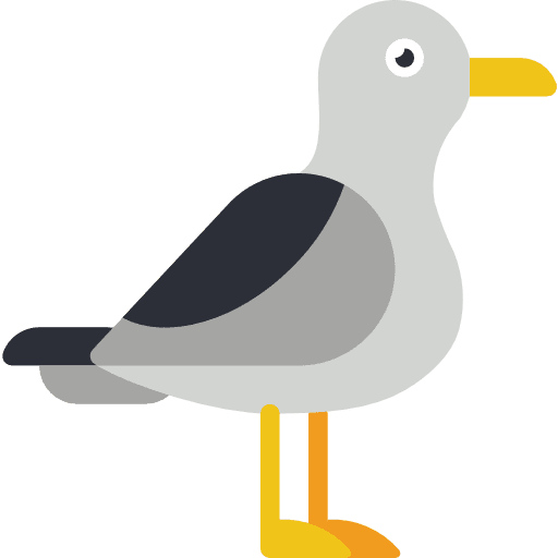 Seagull animal animals bird icon