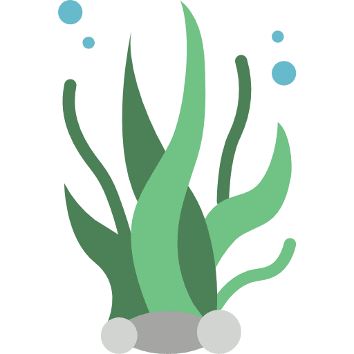 Seaweed animals animal aquatic icon