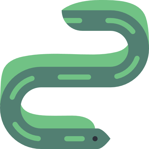Eel animal eel sea life icon Eel animal eel sea life icon