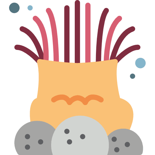 Sea anemone nature aquatic sea life icon Sea anemone nature aquatic sea life icon