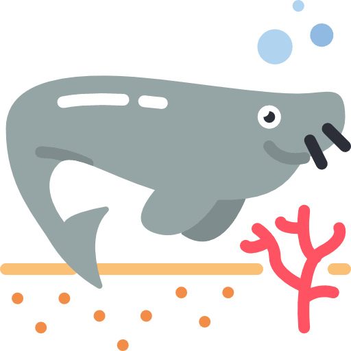 Sea cow animals sea cow animal kingdom icon Sea cow animals sea cow animal kingdom icon